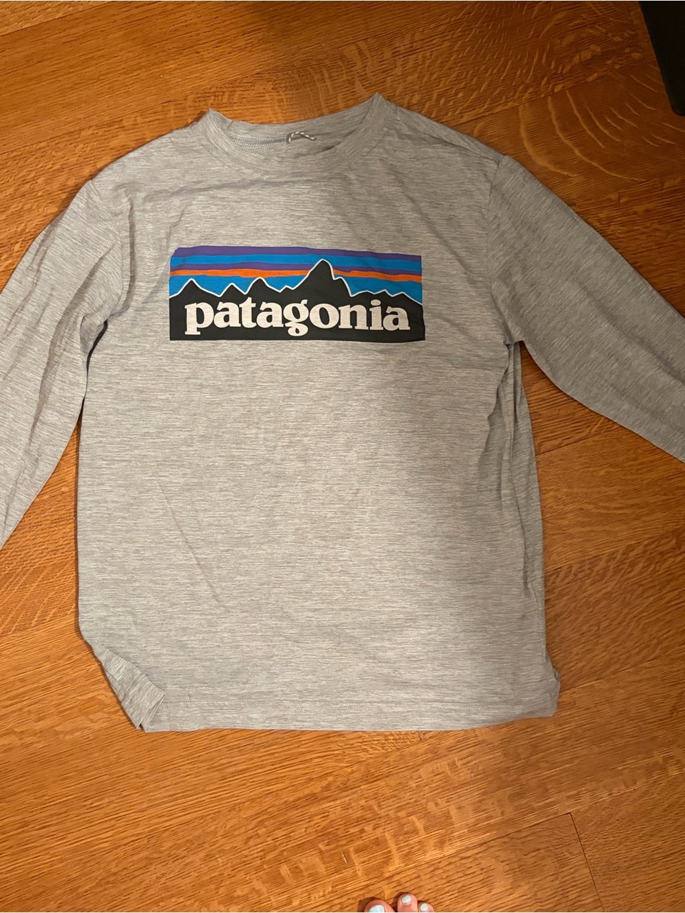 Patagonia Gray Long Sleeve Logo Tee with Blue and Purple Graphic